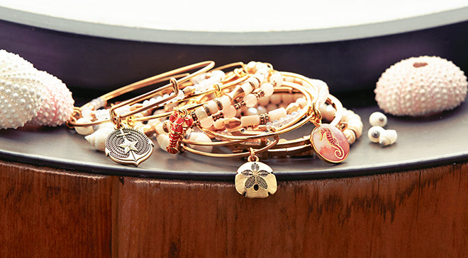 A Closer Look: Sand Dollar, Anchor, and Seahorse