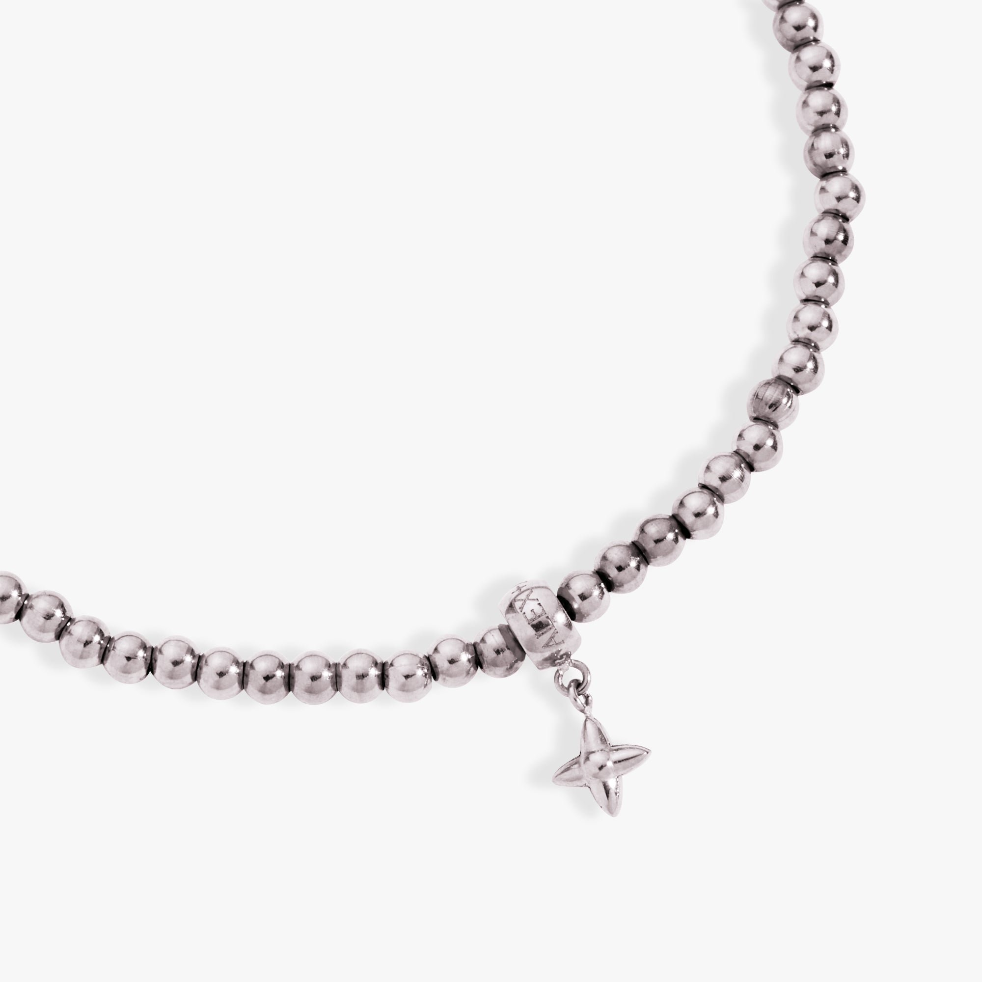 Stainless Steel Silver