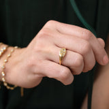 Stainless Steel Gold