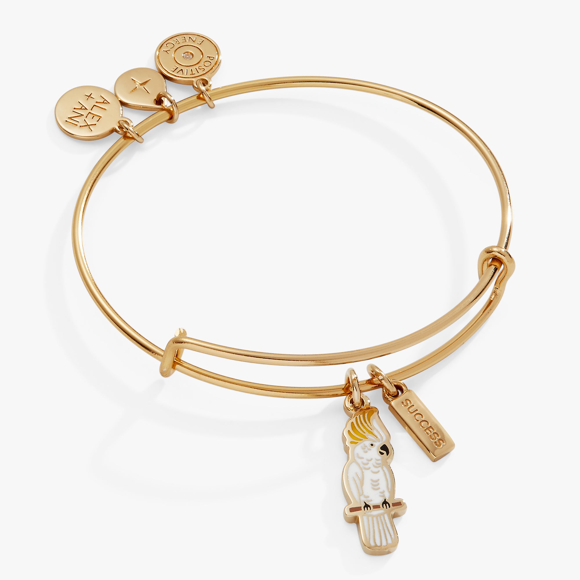Success' Cockatoo Charm Bangle – ALEX AND ANI