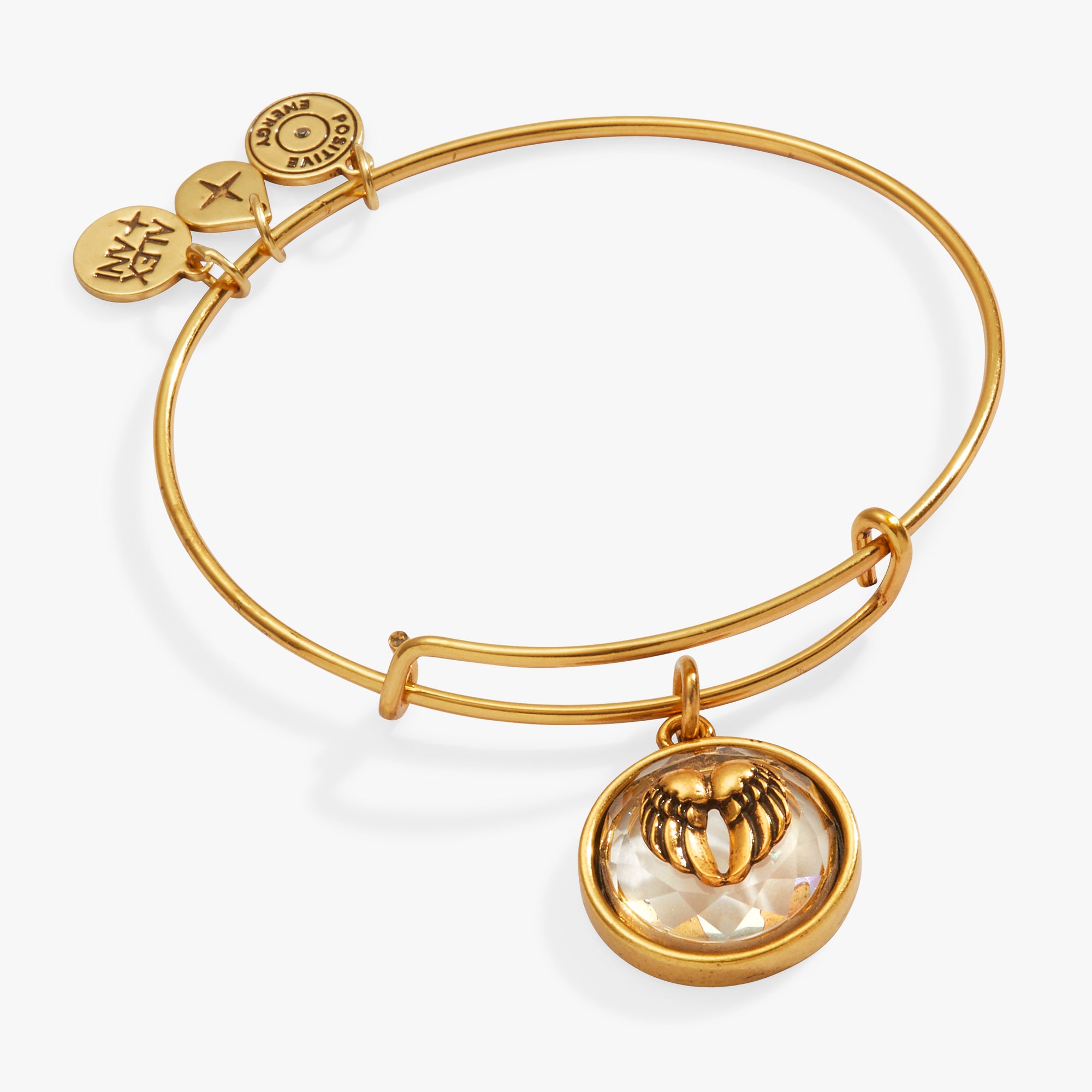 Alex And Ani Bracelets With Angel Wings Alex And Ani Guardian