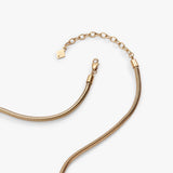 Stainless Steel Gold