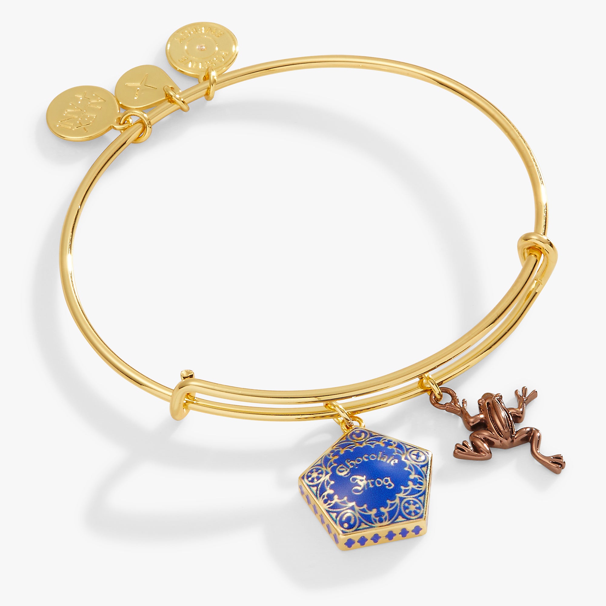 Harry Potter™ Chocolate Frog Two-Charm Bangle – ALEX AND ANI