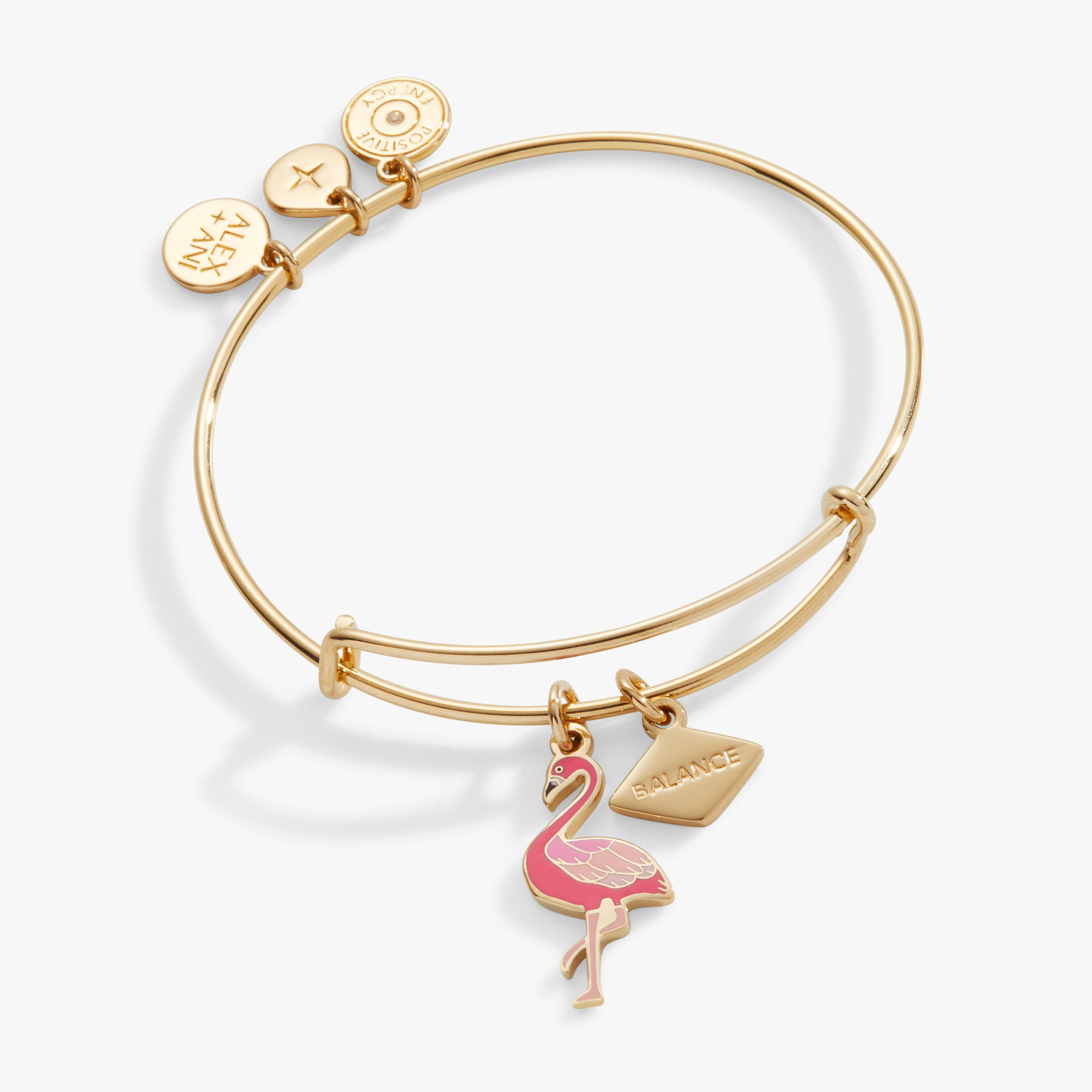 Balance Flamingo Duo Charm Bangle – ALEX AND ANI
