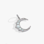 Stainless Steel Silver