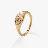 Stainless Steel Gold