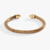 Rafaelian Gold