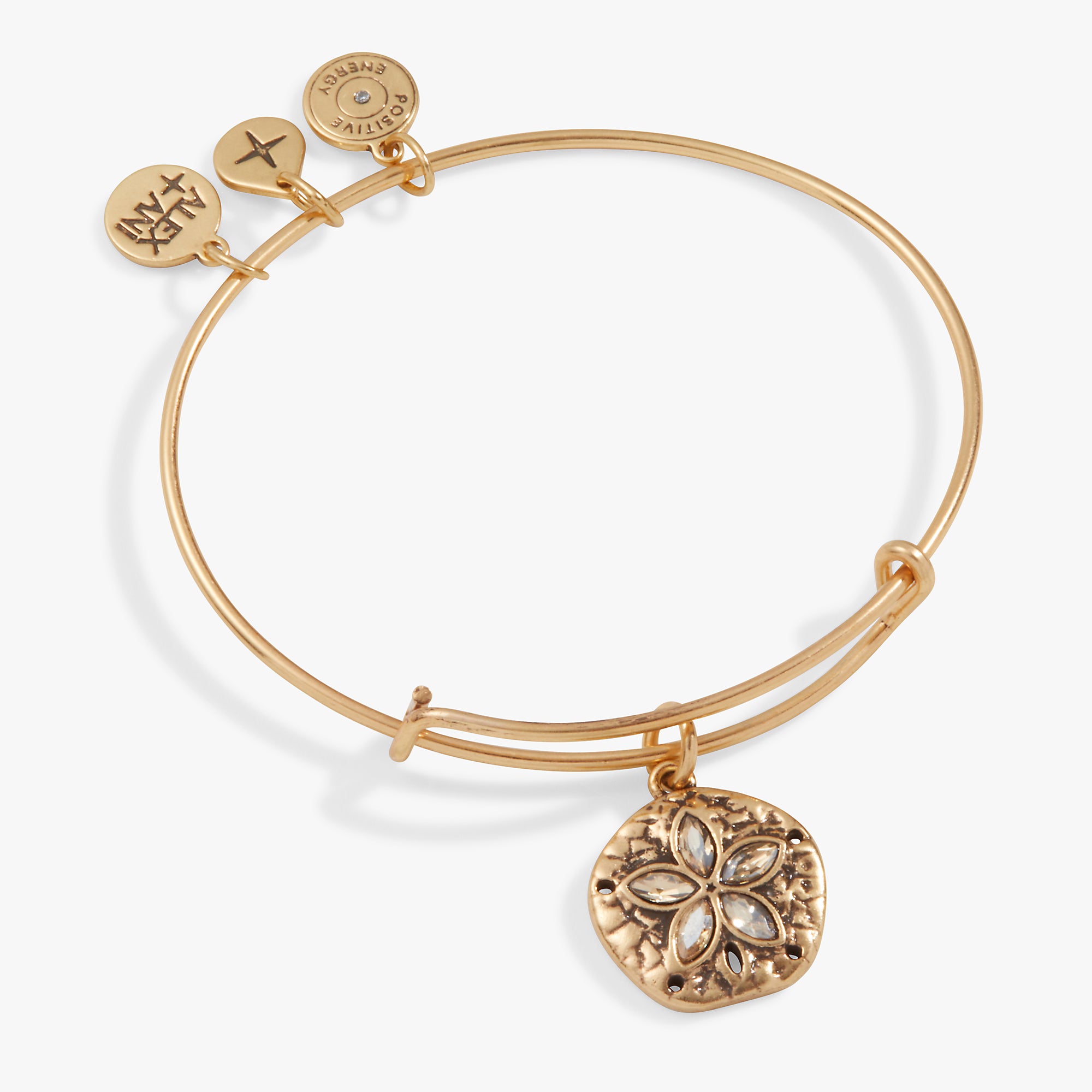 Sand Dollar Charm Bangle – ALEX AND ANI