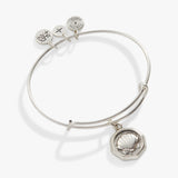 Antiqued Silver