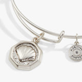 Antiqued Silver