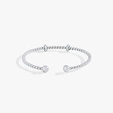 Stainless Steel Silver