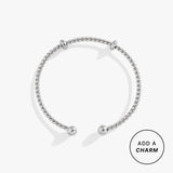 Stainless Steel Silver