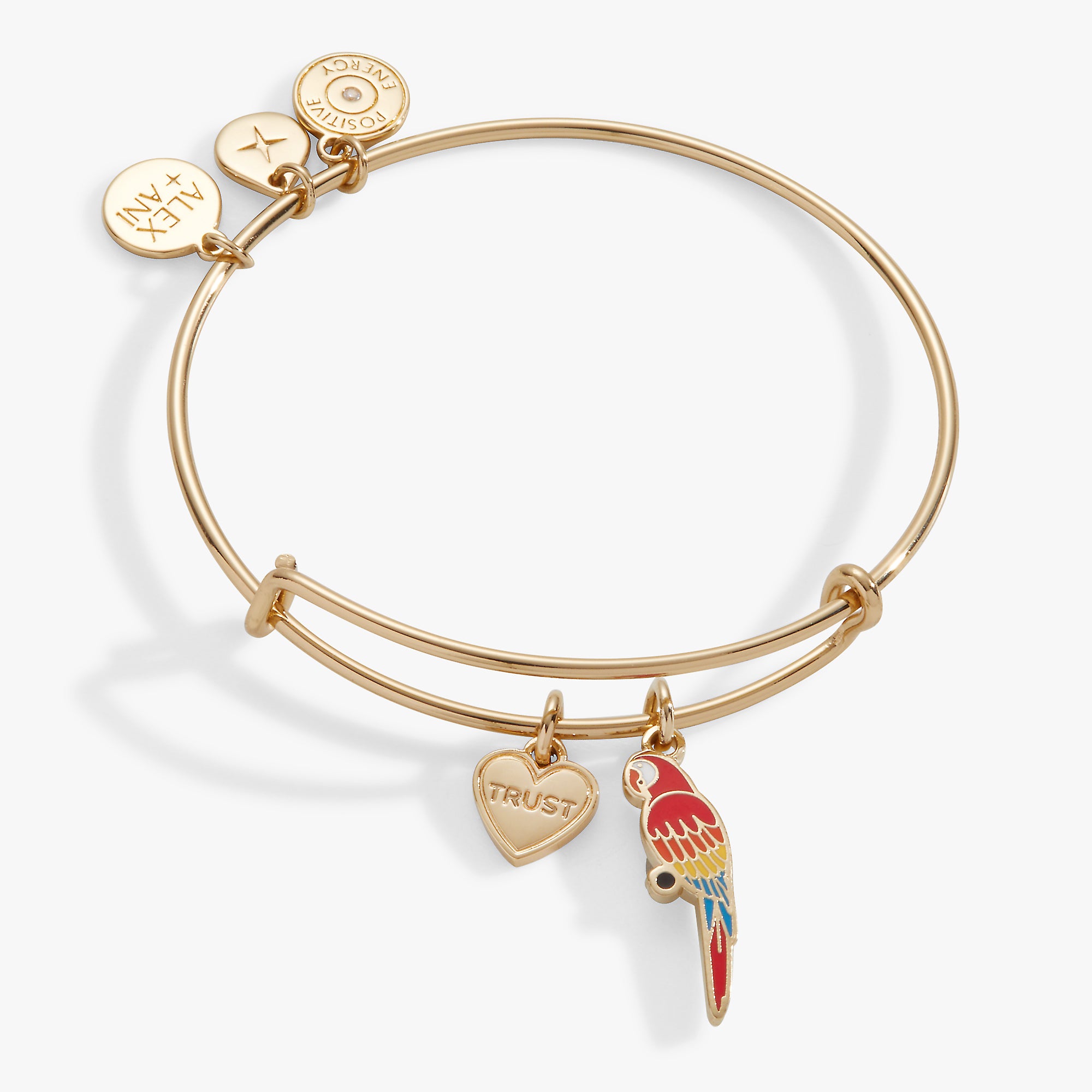 Necklace Alex And Ani Hummingbird Bracelet Meaning Alex And Ani