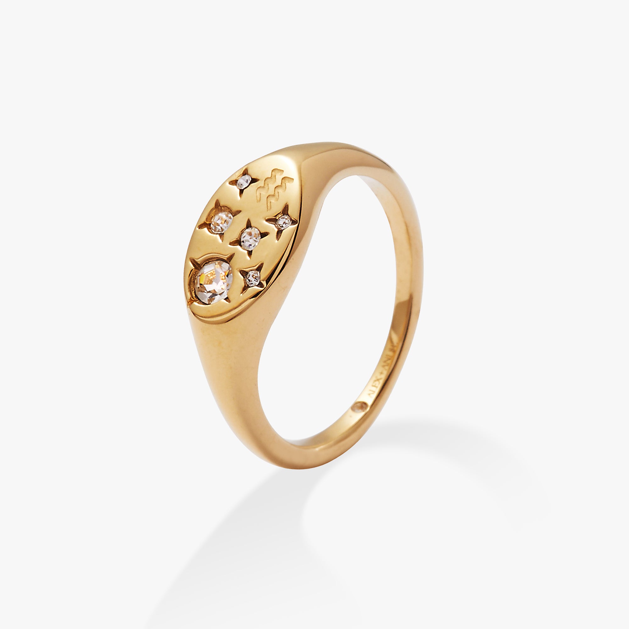 Stainless Steel Gold