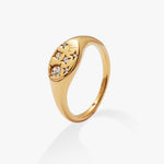 Stainless Steel Gold