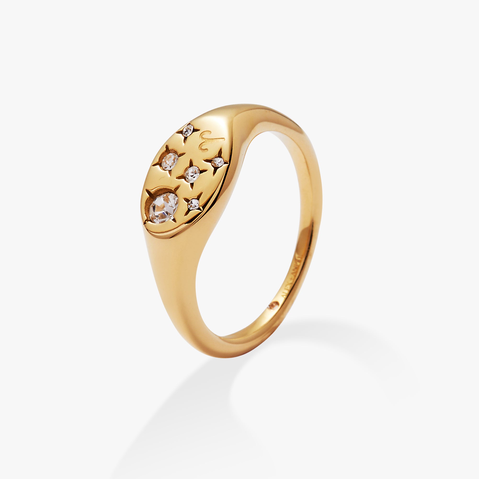 Stainless Steel Gold