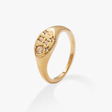 Stainless Steel Gold