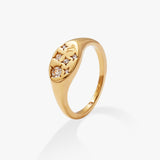 Stainless Steel Gold