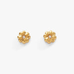 Stainless Steel Gold