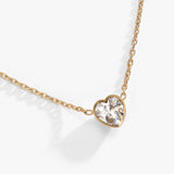 Stainless Steel Gold