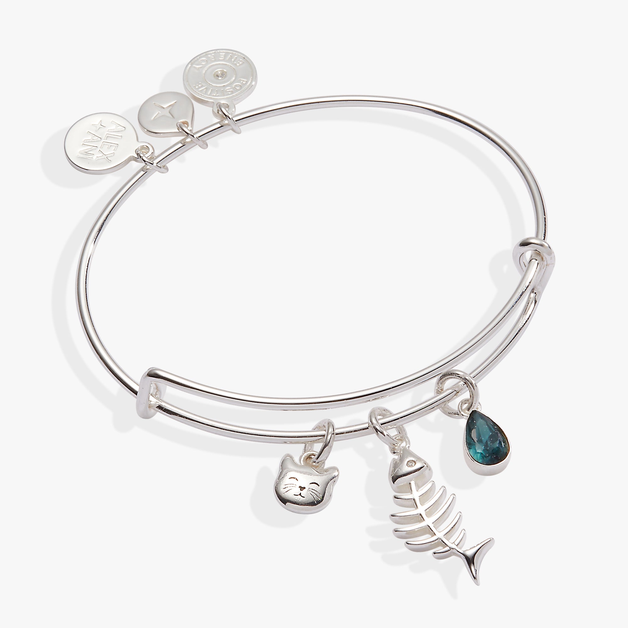 alex and ani fish hook Fish Bone Cat Bangle