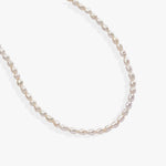 Stainless Steel Gold