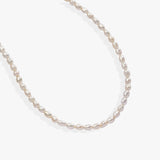 Stainless Steel Gold