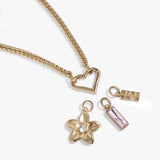 Stainless Steel Gold