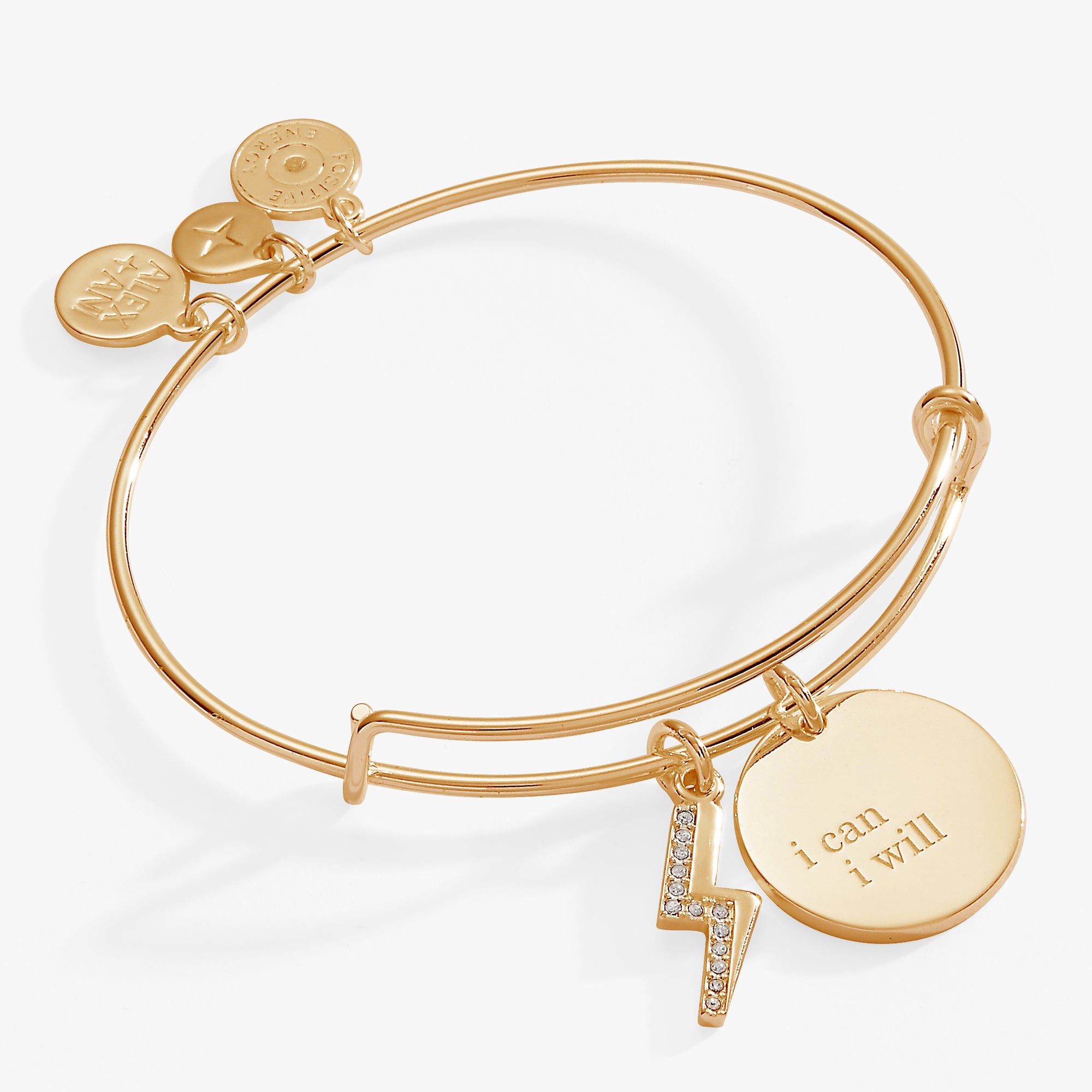 I Can, I Will” Duo Charm Bangle Alex and Ani – ALEX AND ANI