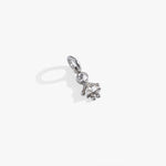Stainless Steel Silver