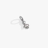 Stainless Steel Silver