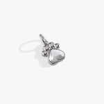 Stainless Steel Silver