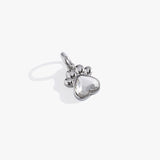 Stainless Steel Silver