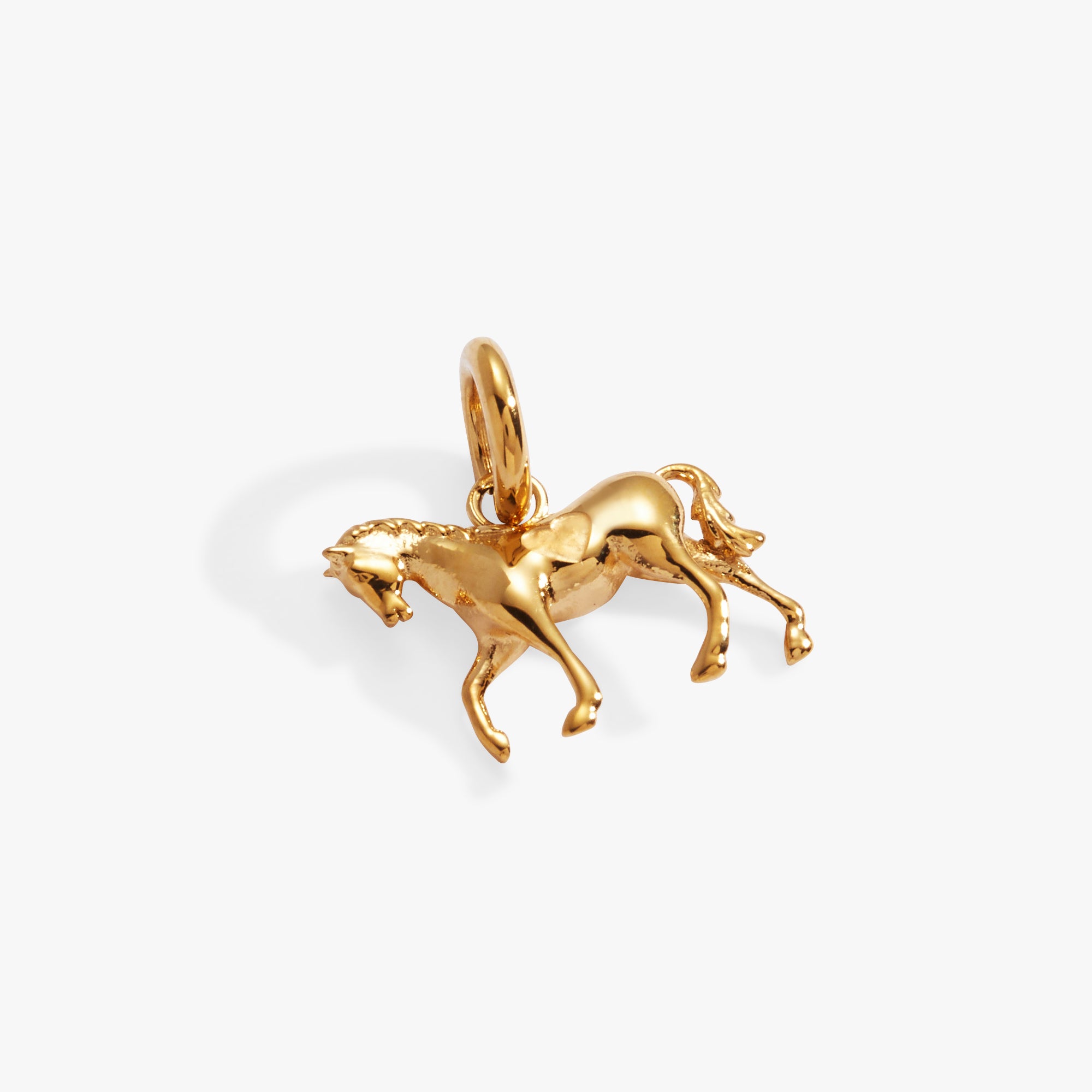 Stainless Steel Gold