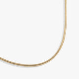 Stainless Steel Gold