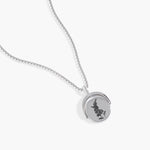 Stainless Steel Silver