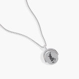 Stainless Steel Silver