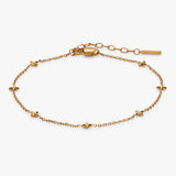 Stainless Steel Gold