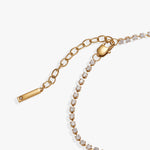 Stainless Steel Gold
