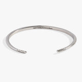 Stainless Steel Silver