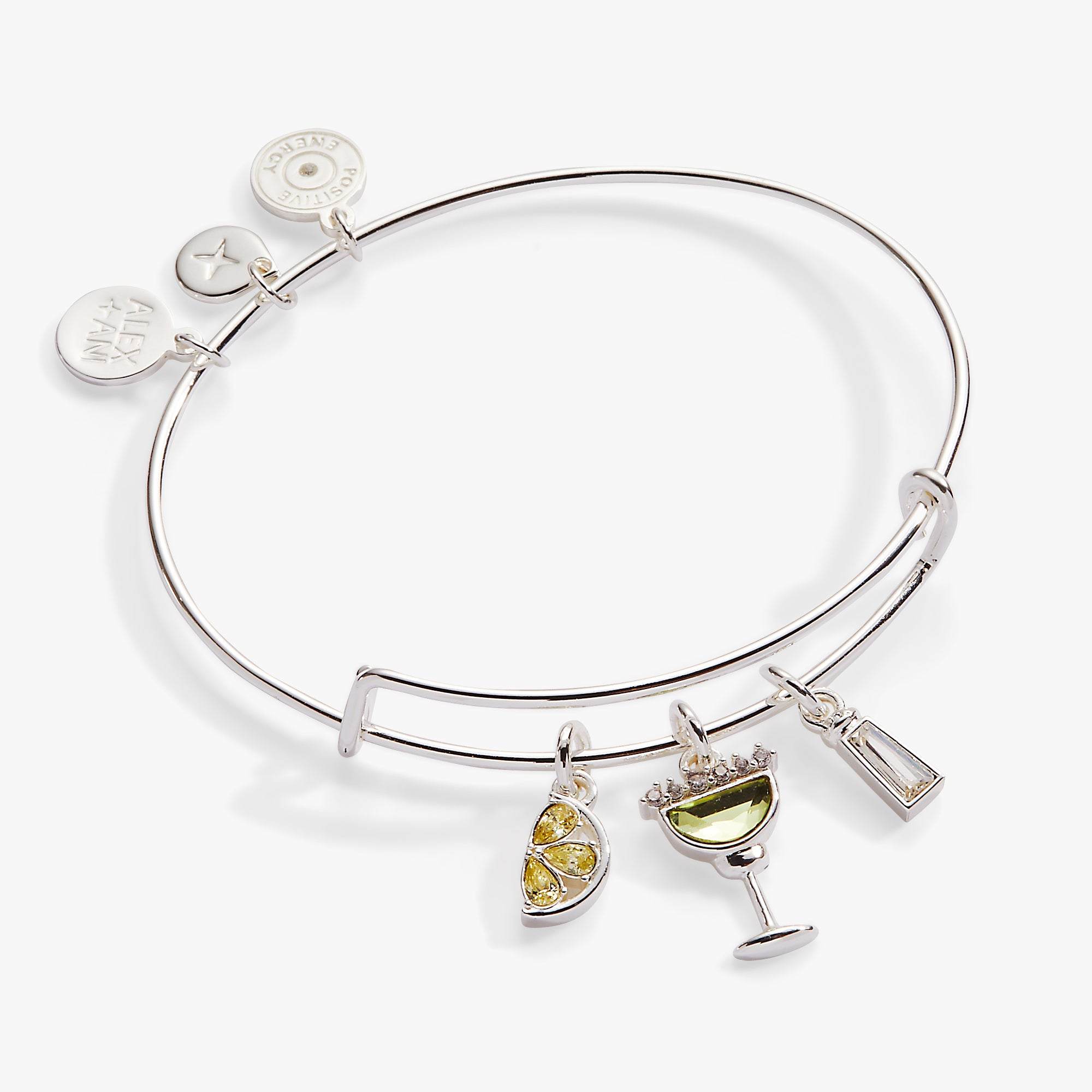 Margarita Charm Bangle Alex and Ani – ALEX AND ANI