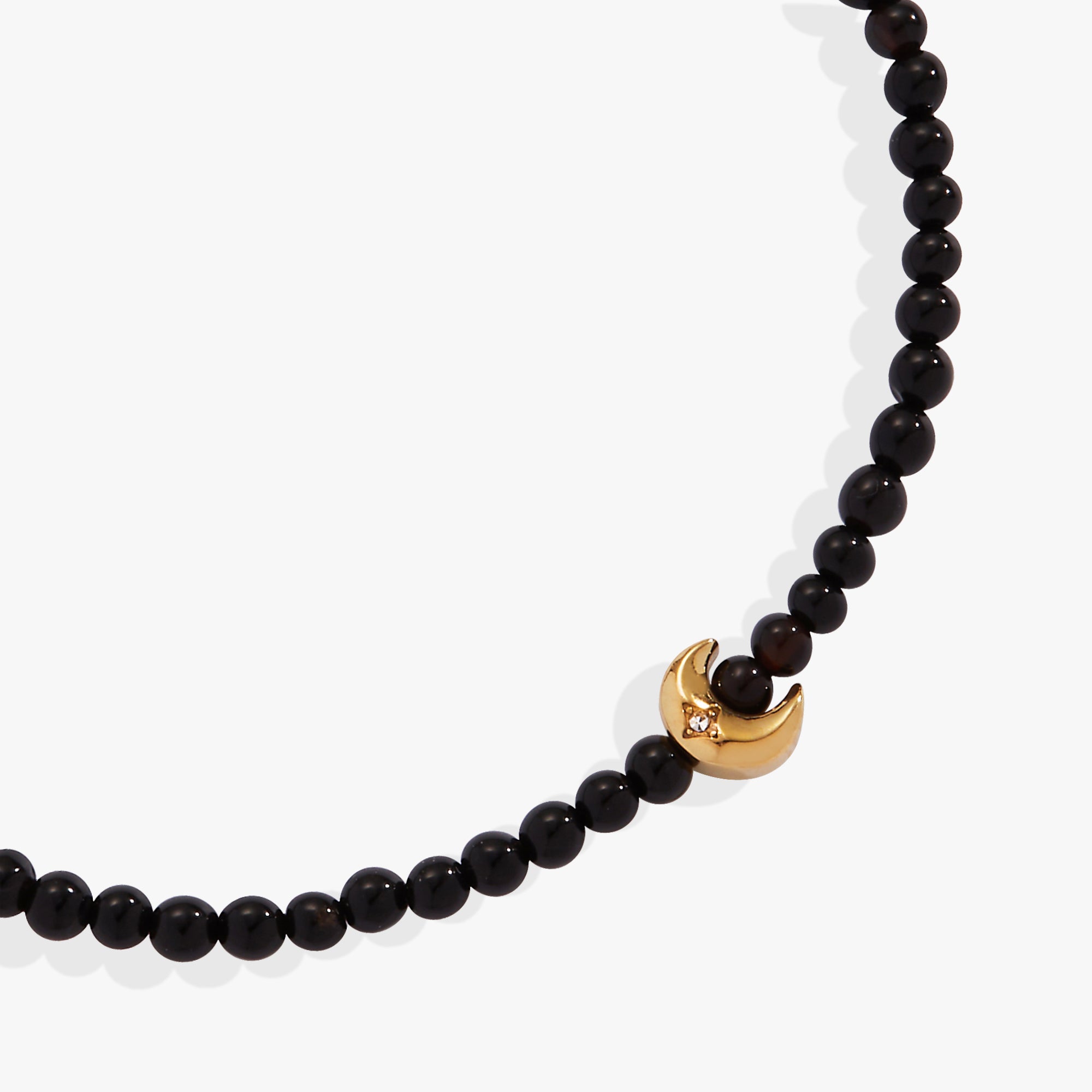Stainless Steel Gold