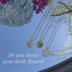 Stainless Steel Gold