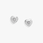 Stainless Steel Silver