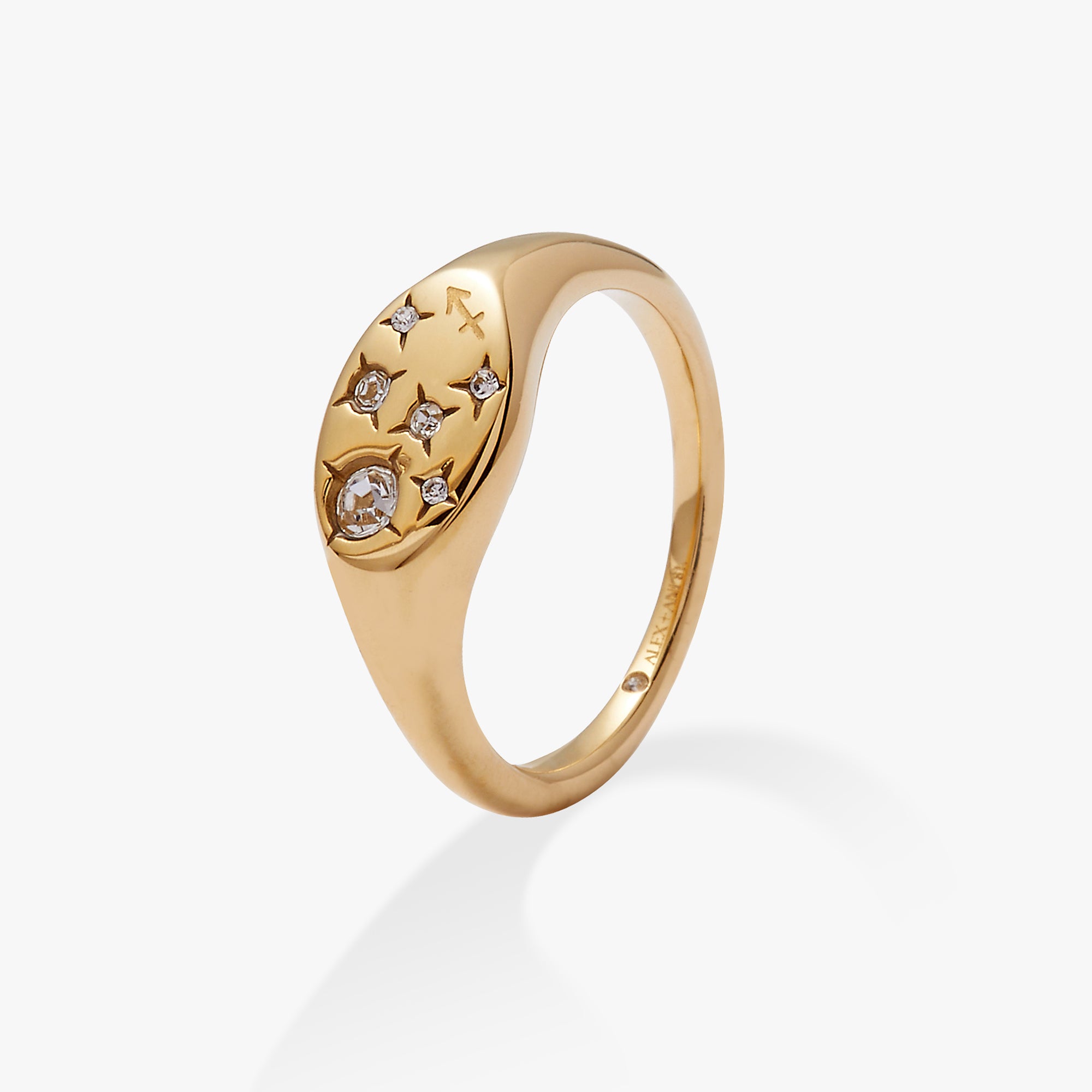 Stainless Steel Gold