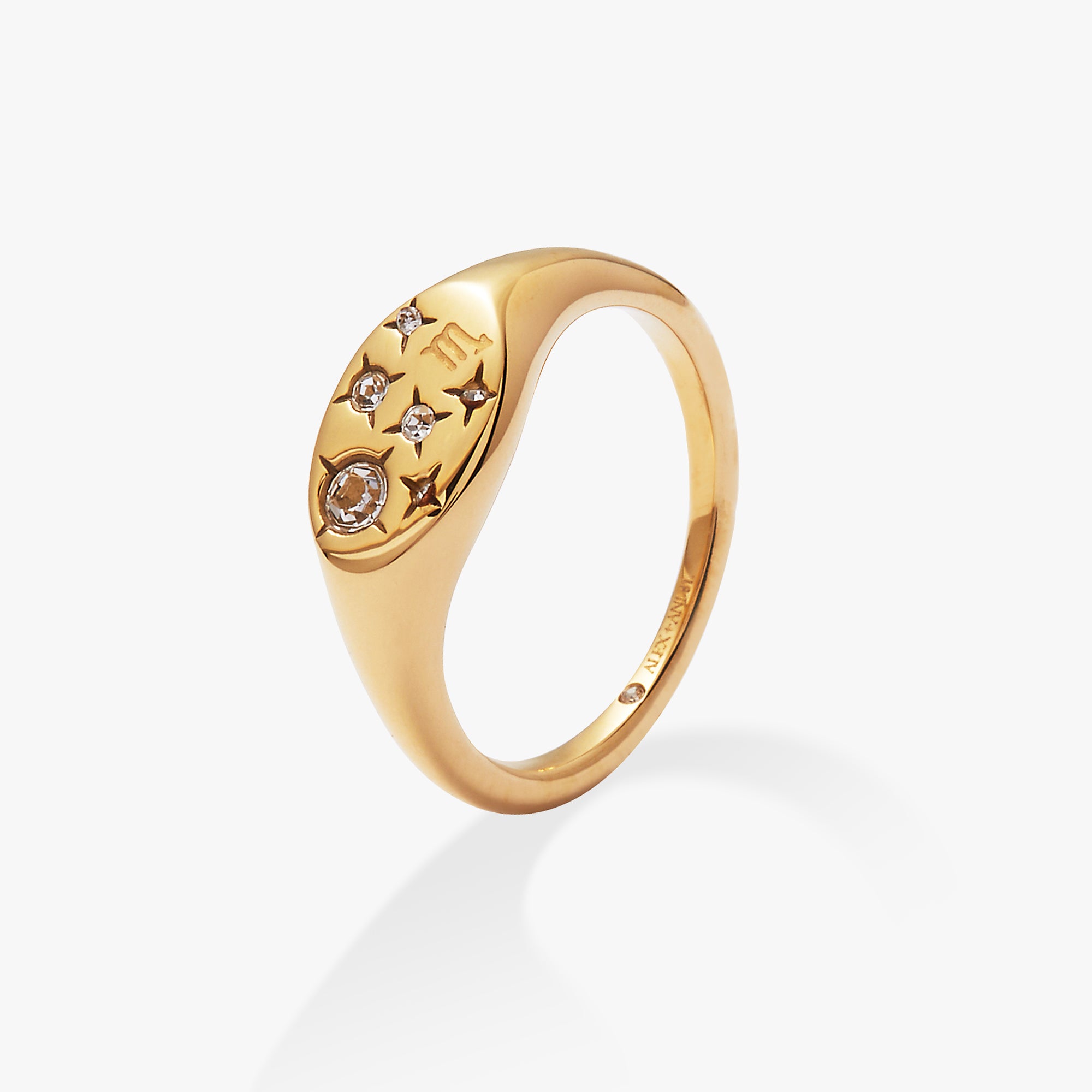 Stainless Steel Gold