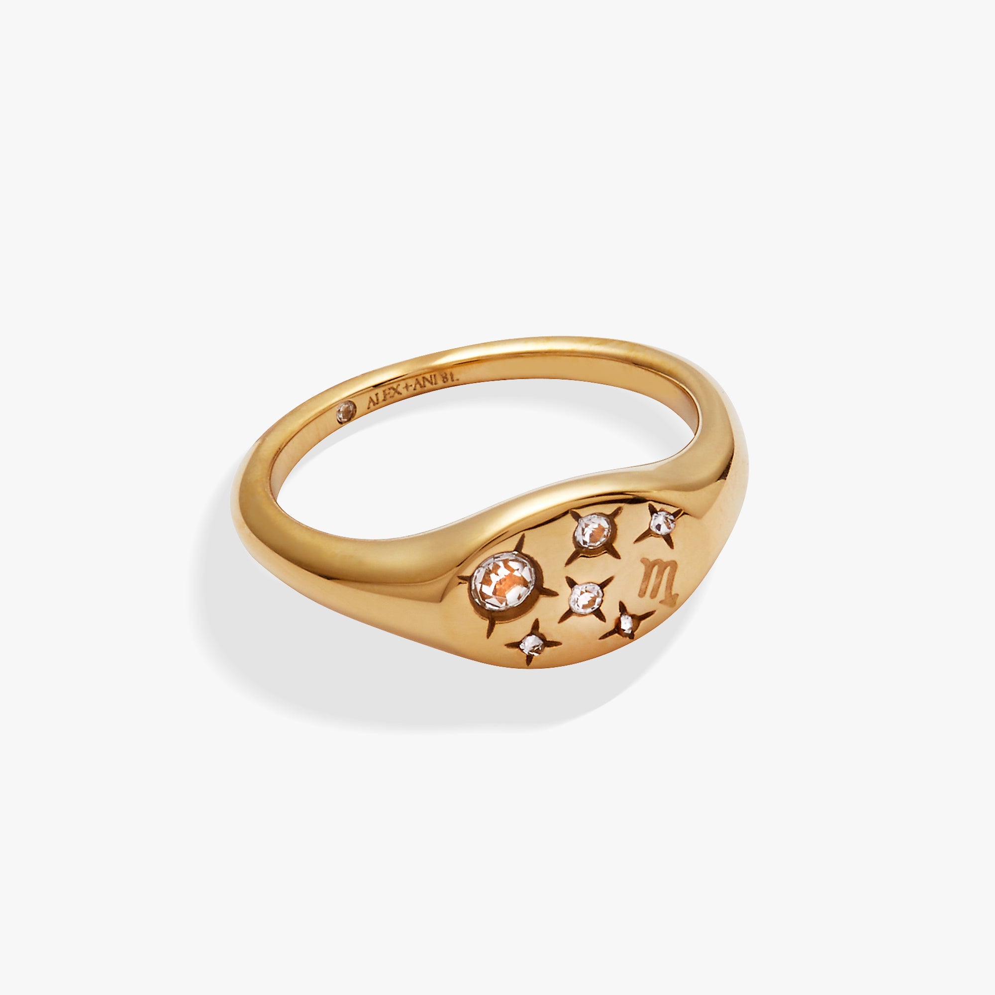 Stainless Steel Gold
