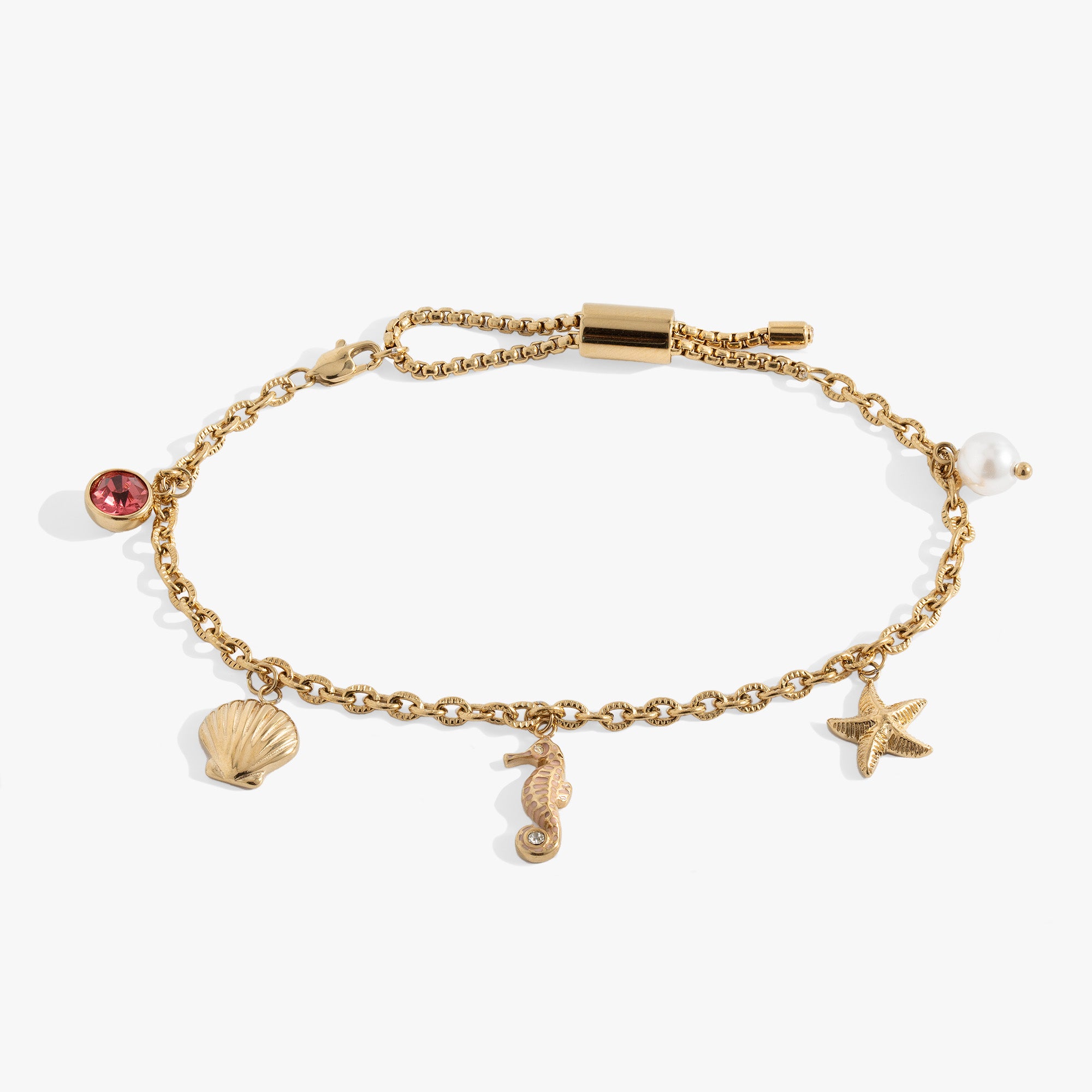 Charm Bracelet Ankle Bracelet Mr Price Refined Charms Bracelet