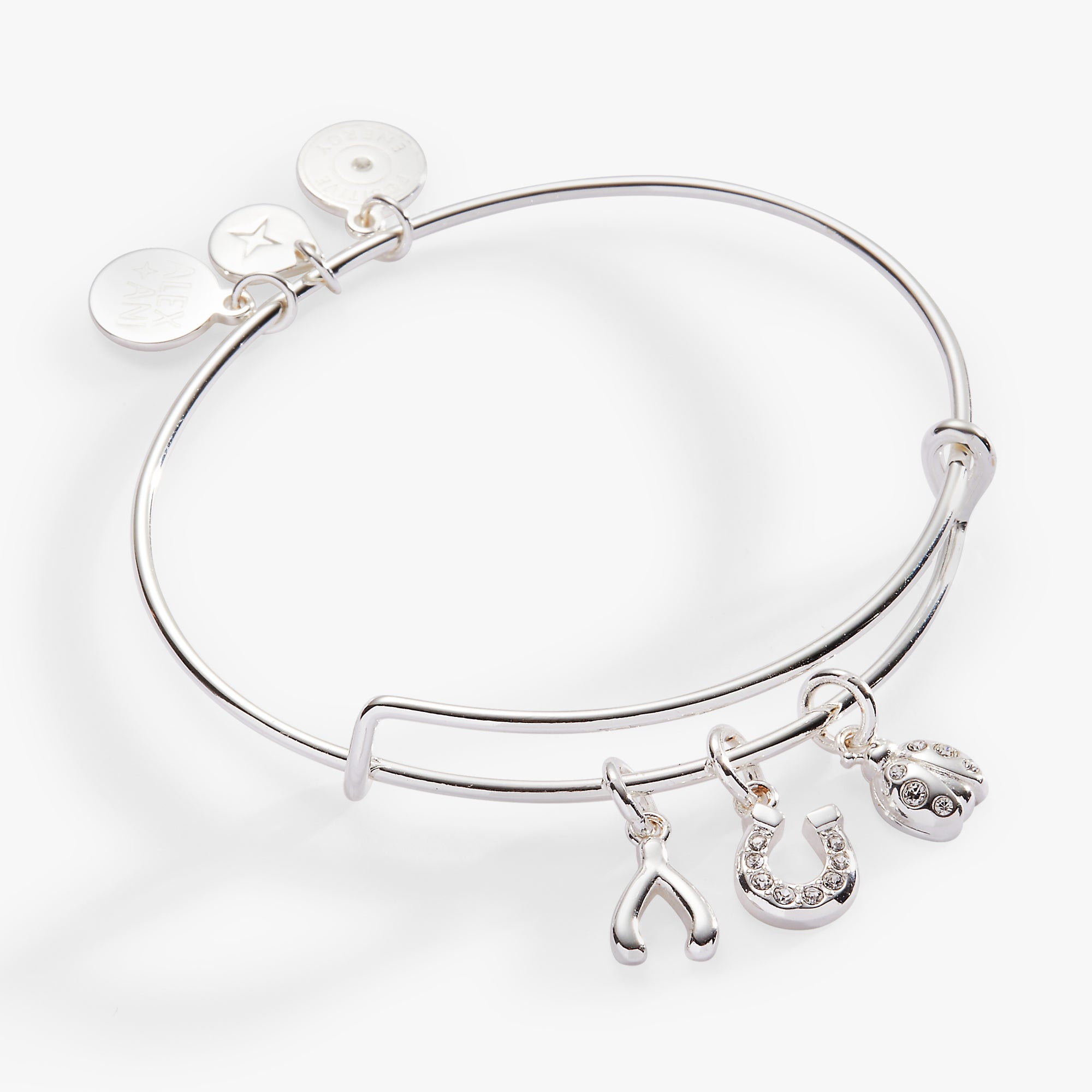 Charm Bracelet Alex And Ani Slider Bracelets Swarovski Crystal