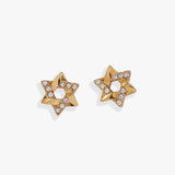 Stainless Steel Gold